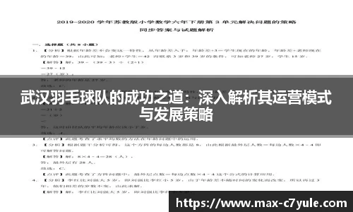 武汉羽毛球队的成功之道：深入解析其运营模式与发展策略