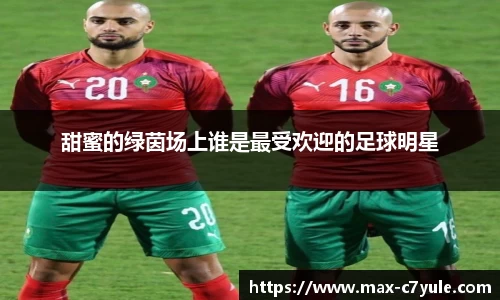 甜蜜的绿茵场上谁是最受欢迎的足球明星